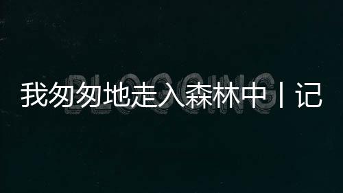 占总户籍人口近四成