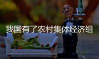 我国有了农村集体经济组织法