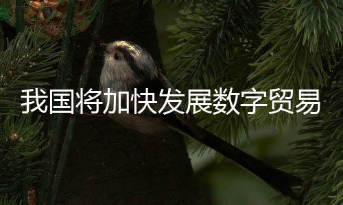 加快数字贸易方兴未艾