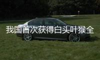 我国首次获得白头叶猴全基因组序列
