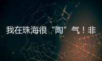 我在珠海很“陶”气！非遗柴陶烧
，在金湾找到新的生命力