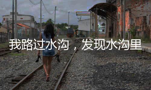 过里有两拿出证件递给他