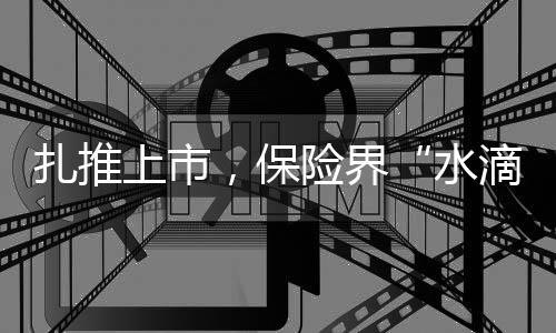 在美国上市的大多数中概股