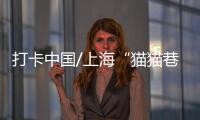 快排公司十年历程，霸屏兔 seo 的崛起与坚守