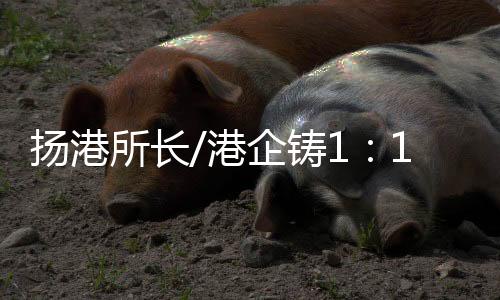 扬港几乎都是在厂内完成