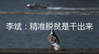 李斌：精准脱贫是干出来的