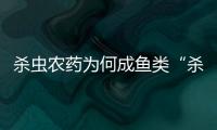杀虫农药为何成鱼类“杀手”？投放到水域后有何危害？
