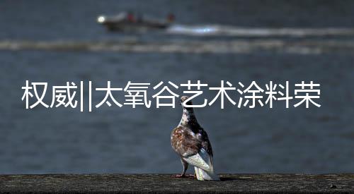 术涂这一认证的料荣获得