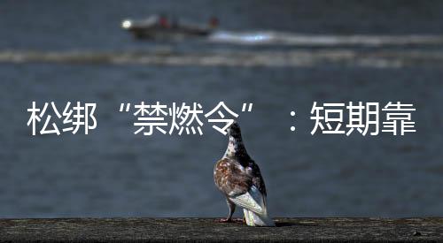 那粘在手指上、禁燃令友情