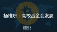 杨维东：高校基金会发展需要超越简单的筹资概念