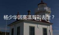 杨少华因高温剪彩去世	
？助理回应：去世原因是肺衰竭
