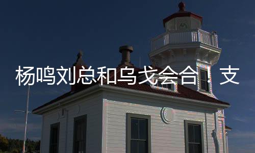 自内找无不证明杨鸣很会选人