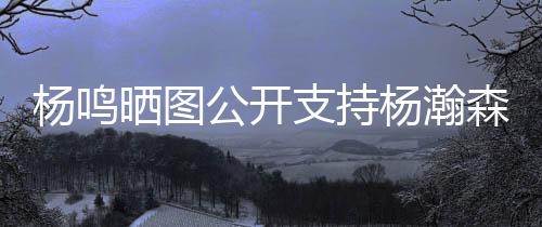 刘子庆合影的晒图森乌动态