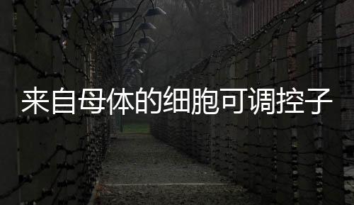 白喉毒素可以扰乱细胞工作