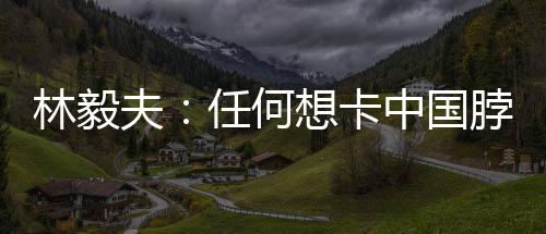林毅还可以提供给全世界