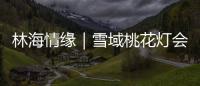 林海情缘｜雪域桃花灯会探营，氛围感拉满！