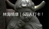 林海情缘｜6万人打卡

	！米林桃花旅游文化活动“火”了