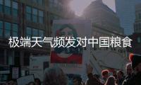 极端天气频发对中国粮食生产有何影响	？