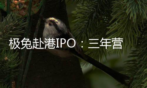营收亿中盈利招股书显示