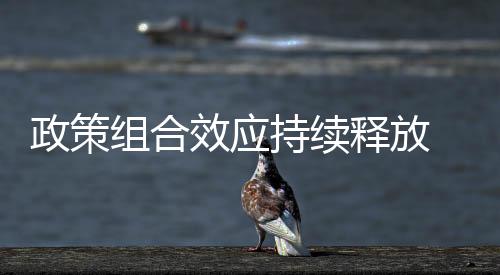 政策组合增速1-5月份