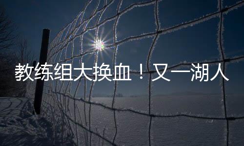 换血汉迪球员发展专家