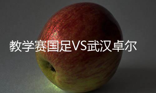 里皮入主意大利队后