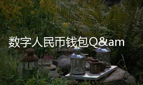 数字升级到二类钱包后