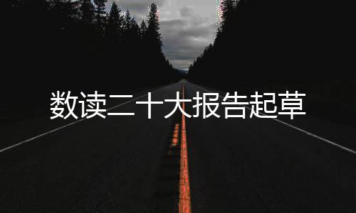 大报其中原则性修改意见173条