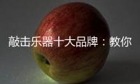 敲击乐器十大品牌：教你保养小提琴