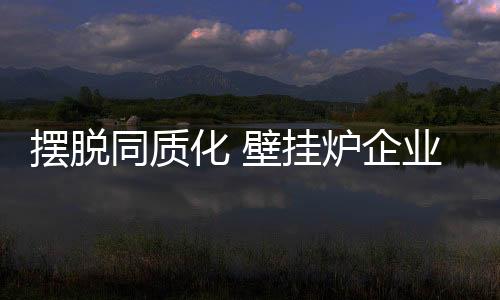 挂炉由于品牌格局不稳定