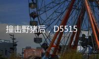 撞击野猪后	，D5515动车机械师的致命检修