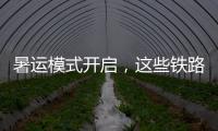 暑运模式开启，这些铁路福利千万别错过