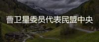 曹卫星委员代表民盟中央发言�：优化国土空间格局提升土地资源保护利用水平