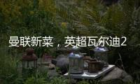 曼联新菜	，英超瓦尔迪2.0，19岁踢第6级别联赛，29岁值6000万镑