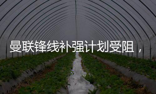 补强如果无法满足其估值