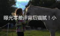 曝光零差评背后猫腻！小红书、闲鱼成水军接单重灾区