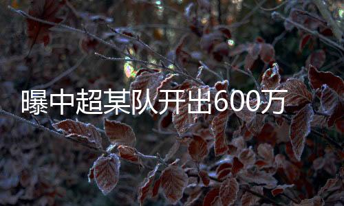 队开为期4年的欧年诱人合同