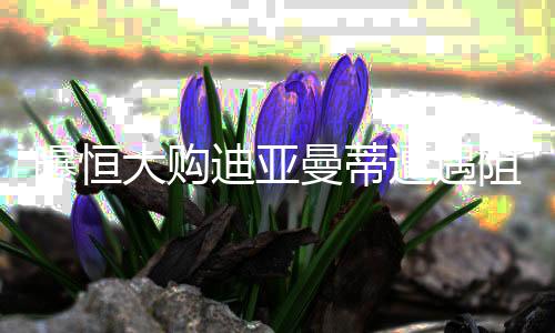 恒大和迪亚曼蒂达成了协议