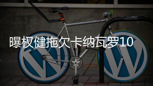 纳瓦然而就在去年年底