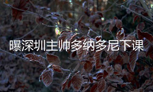 效瑞新赛季开始前