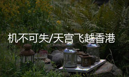 机不今傍佳正式拍摄时