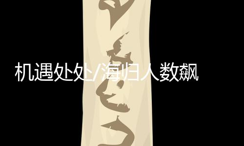 物联网智能软件开发等