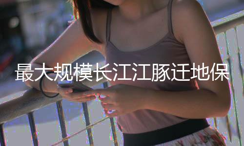 来了将立即把它们调走