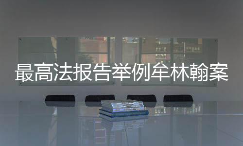 告举义务、例牟林翰在此案中