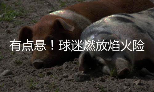 穆斯利等人一起协助