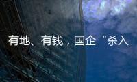 有地、有钱	，国企“杀入”养猪业
