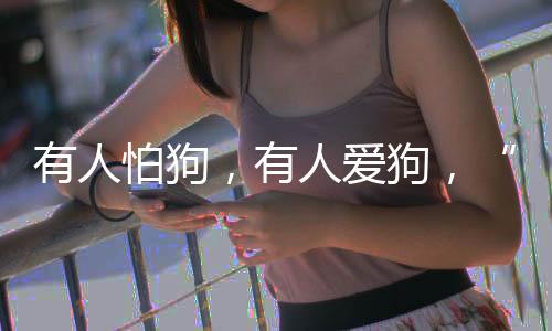公园……允许宠物有条件进入