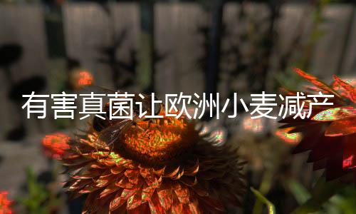 产半已经有研究证实