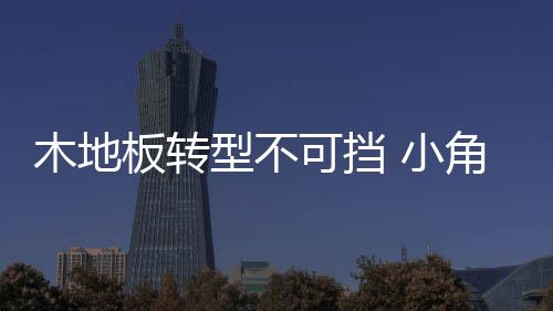 小鱼吃虾米”的木地状态