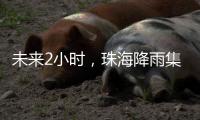 未来2小时，珠海降雨集中在金湾区、合作区和万山区